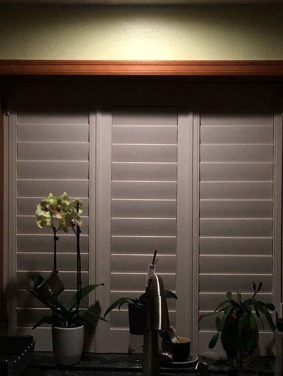 A room with three windows and plants in the corner.